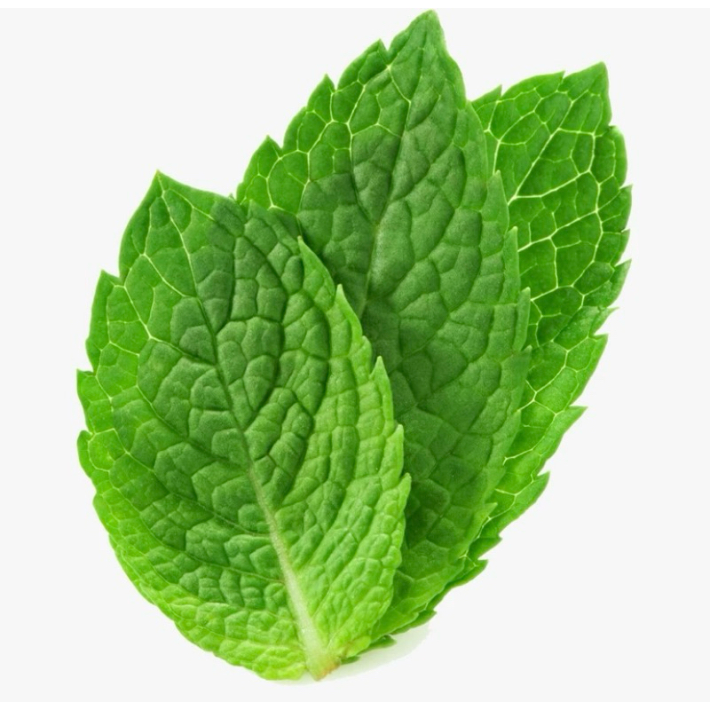 

Daun Mint Organik 100gr