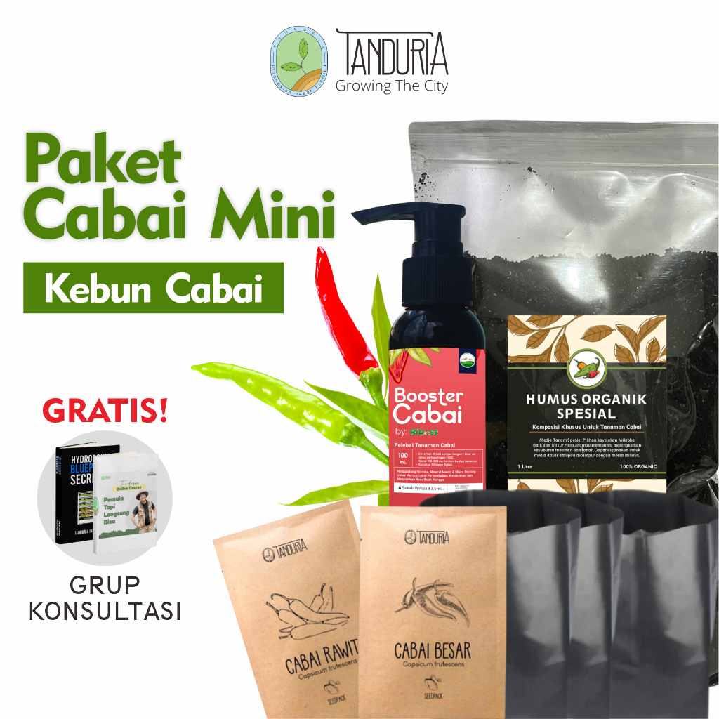 TANDURIA - Paket Perawatan Cabai Mini Lengkap Murah Kebun Cabe Pupuk Organik Benih Kompos