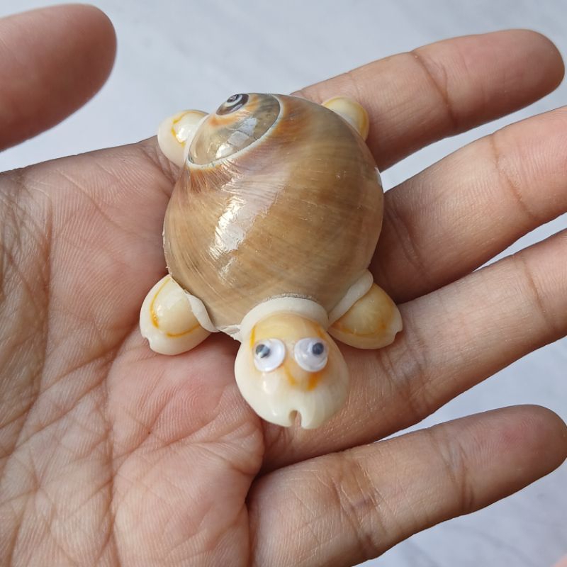 KERAJINAN KERANG/DIY/HIASAN KECIL