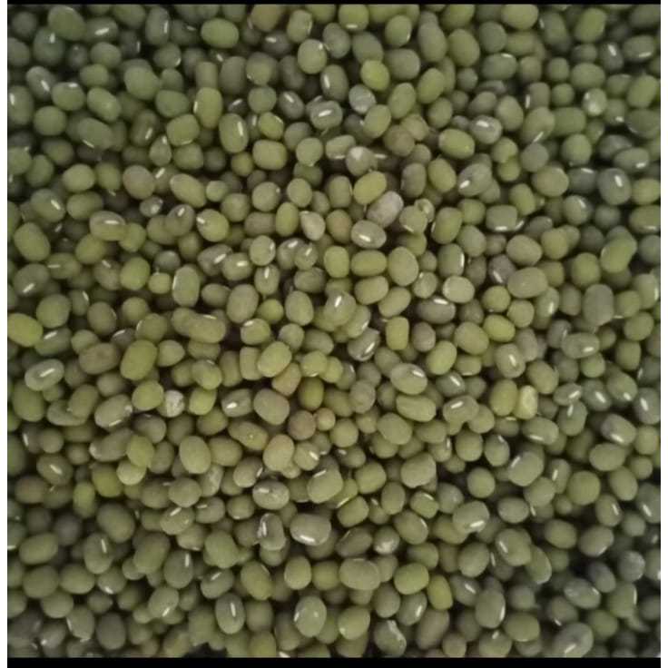 

kacang hijau birma