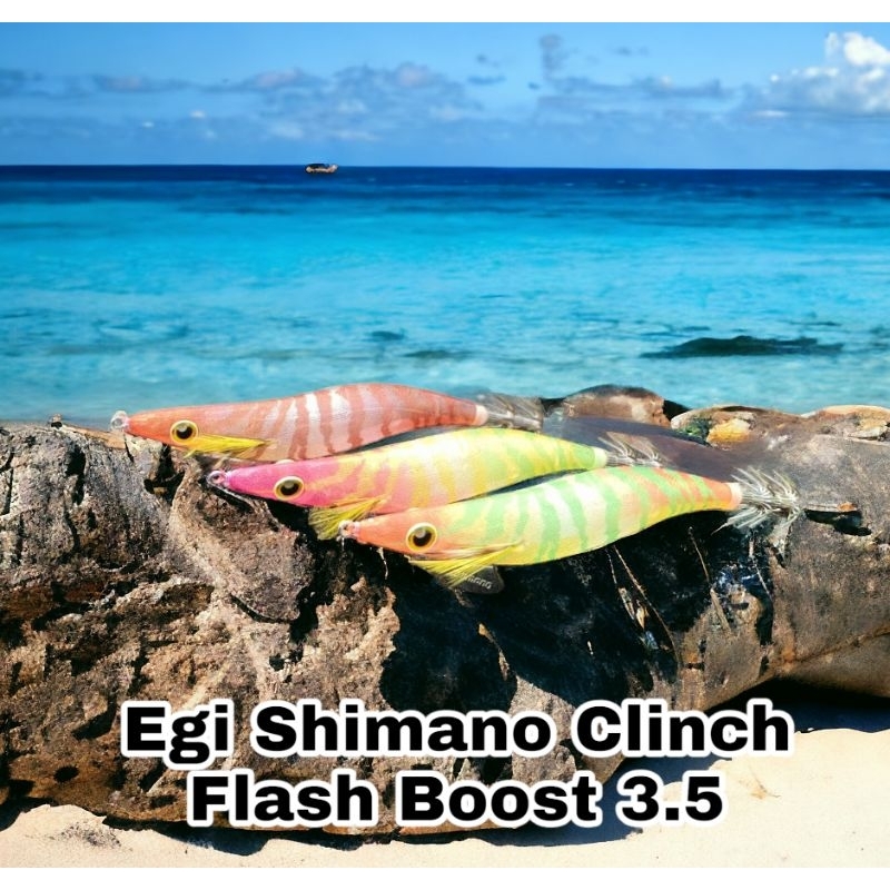 Umpan Mancing Cumi Egi Shimano Clinch Flash Boost Size 3.5