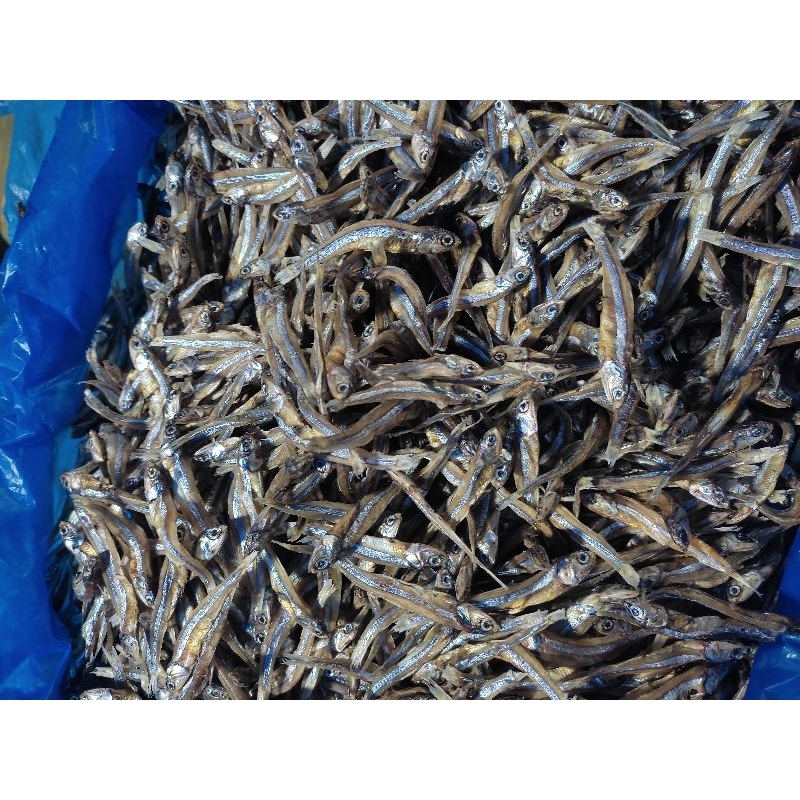 

Ikan teri kering 500g