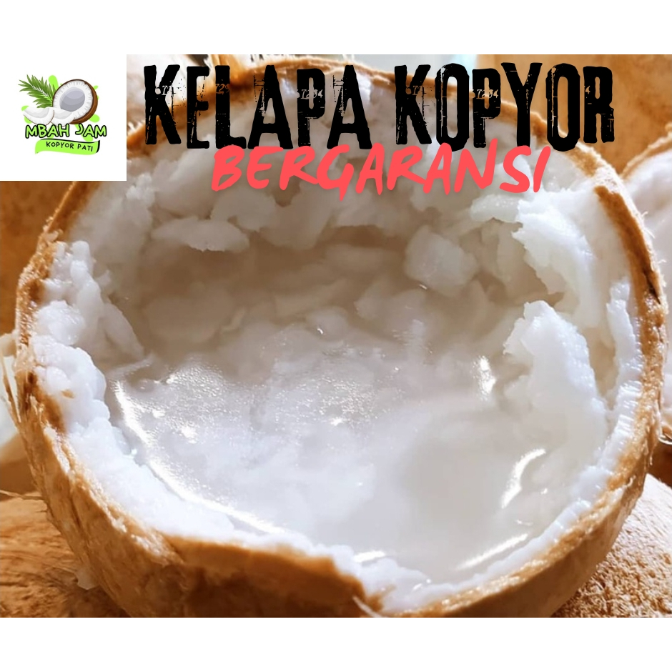 

kelapa Kopyor size 51-52 CM