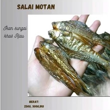 

SALAI IKAN MOTAN KHAS RIAU