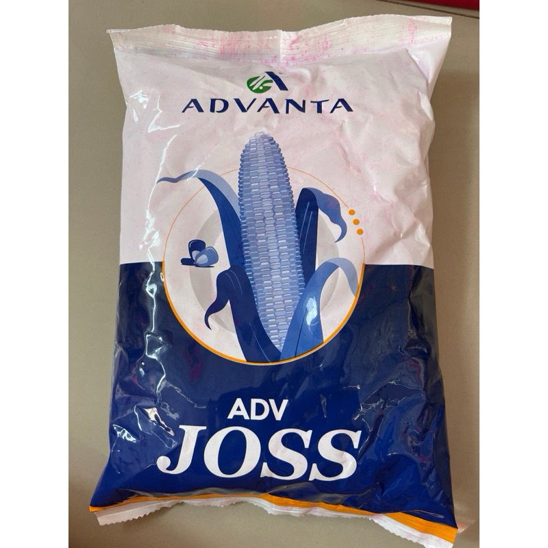Benih Jagung ADV JOSS 313 hibrida 1kg Advanta seed