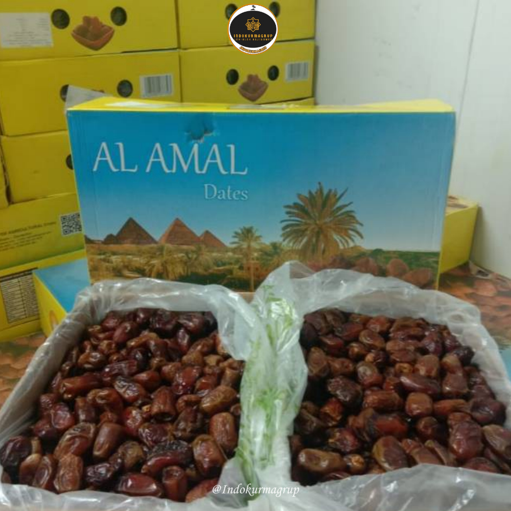 

Kurma Mesir [10KG] / Kurma Golden Valley Premium Quality