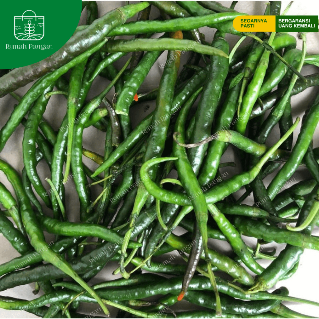 

Cabai / Cabe Hijau Keriting - 500 gram