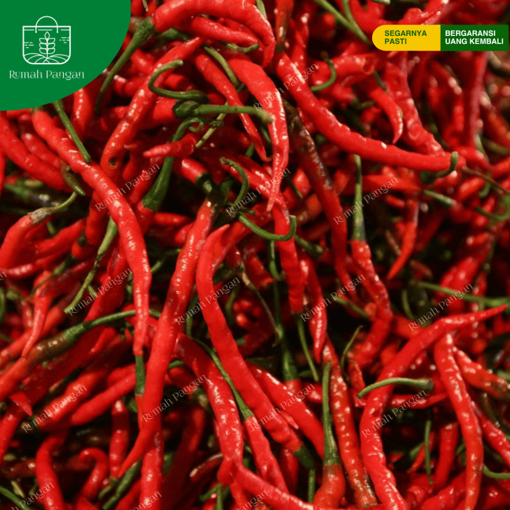 

Cabai / Cabe Merah Keriting - 500 gram