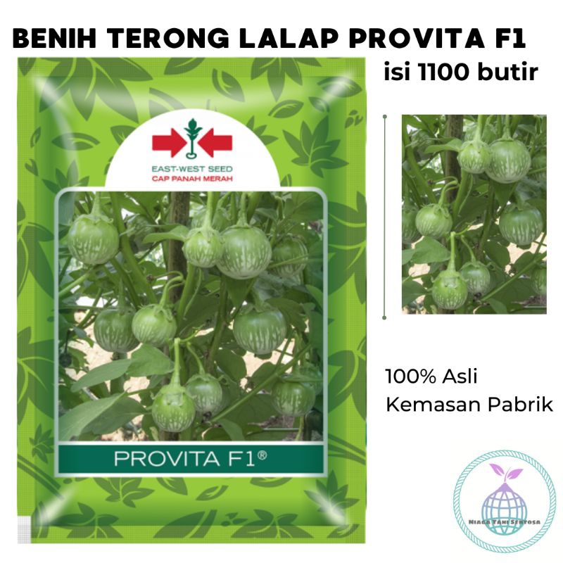 Terong Lalap Provita F1 isi 1100 butir Cap Panah Merah