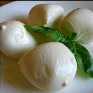 

Mozzarella Bocconcini Cheese