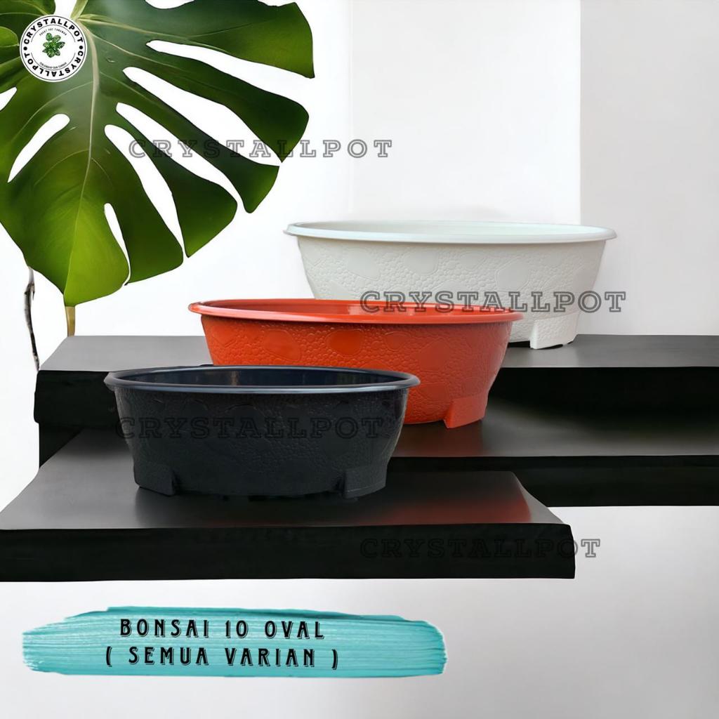 Pot Bunga Tanaman Bonsai 10 Oval 50 Cm Bahan Tebal - BJ BONSAI OVAL 10
