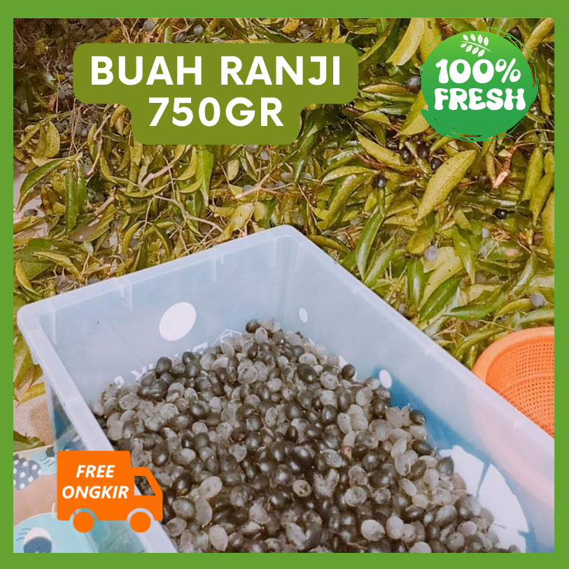

Buah Keranji Asam Ranji Kranji untuk obat 750 Gram
