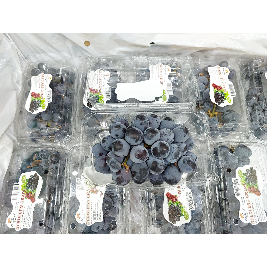 

Holy Fresh Buah Anggur Hitam Summer 500 gr Pack
