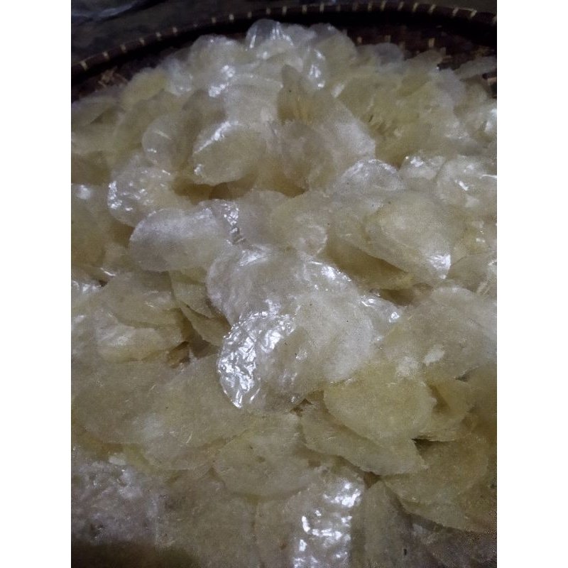 

kirca mentah keripik kaca mentah kiripik kaca terlaris