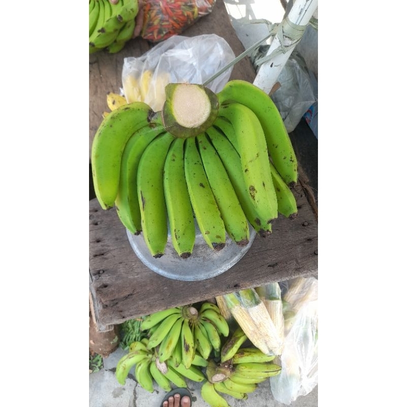 

PISANG IJO ASLI LUMAJANG