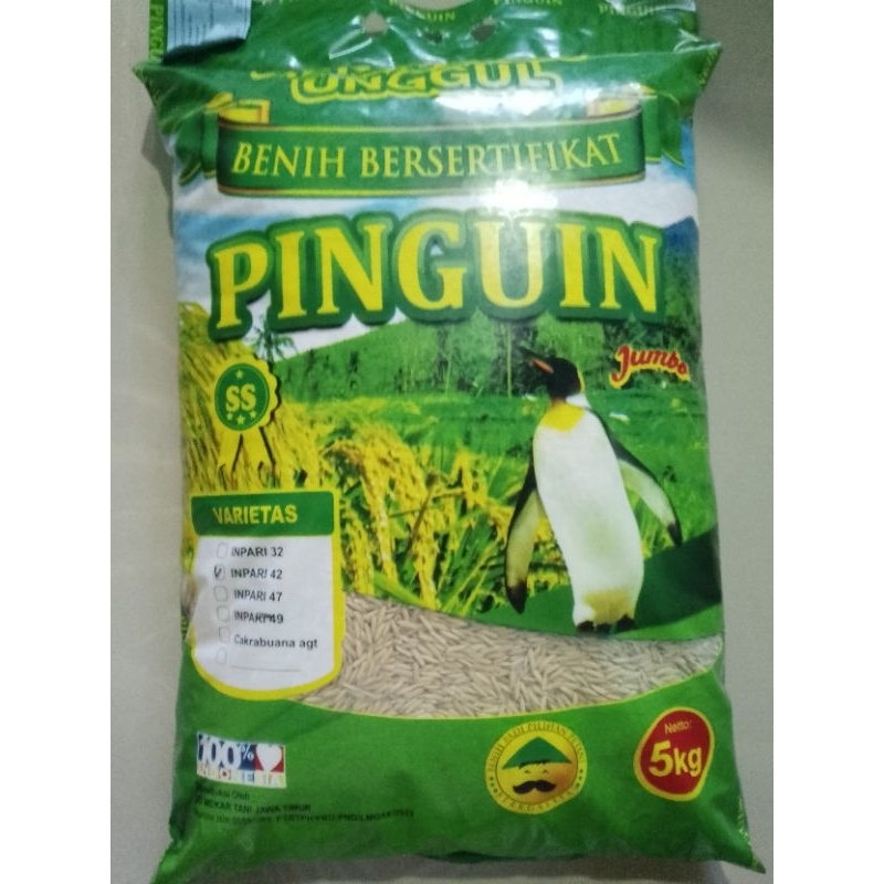 BENIH PADI INPARI 42 GSR KEMASAN 5KG JUMBO