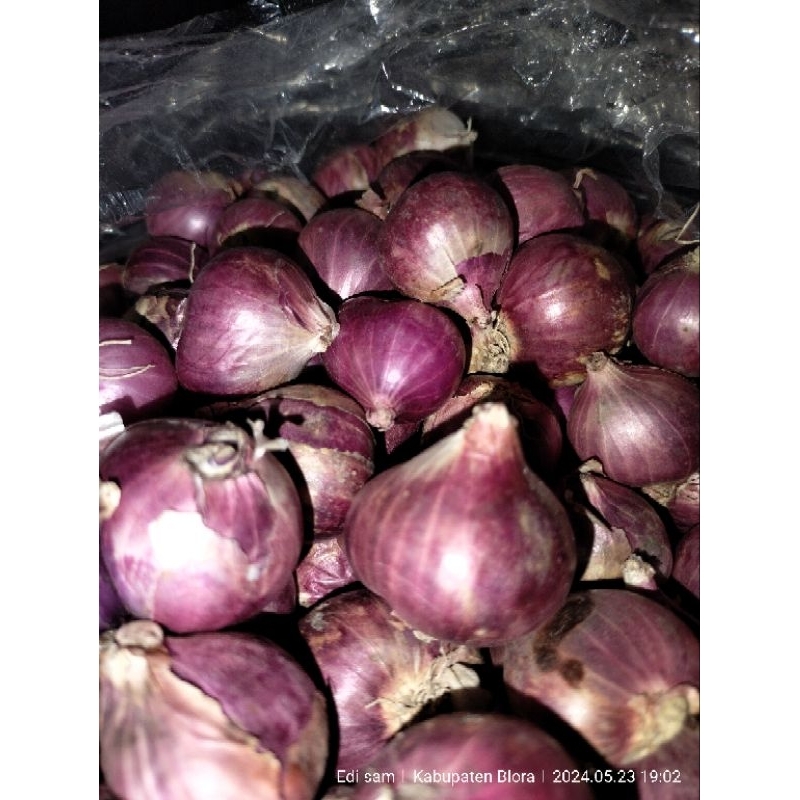 

BAWANG MERAH KERING SUPER PREMIUM