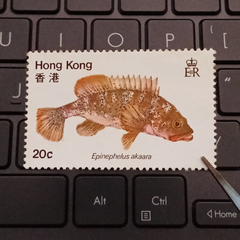 

Perangko Hongkong 20 Cent Fish Mint - Prangko Hong Kong