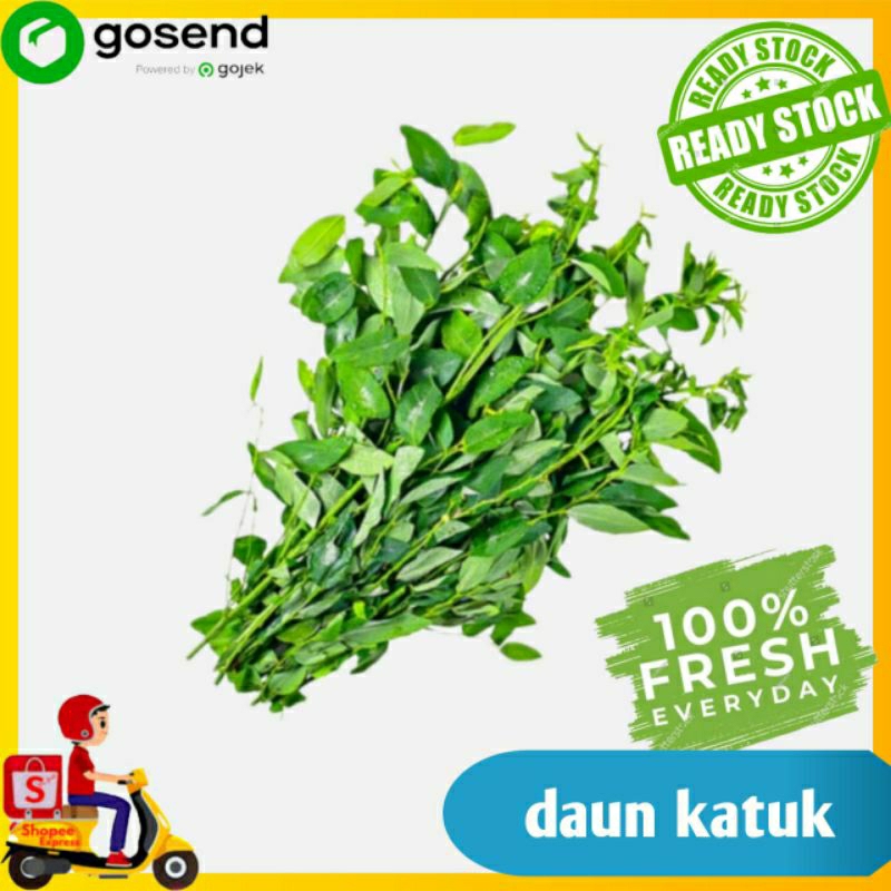 

Sayur Daun Katuk - sayur segar - Tukang sayur Palembang