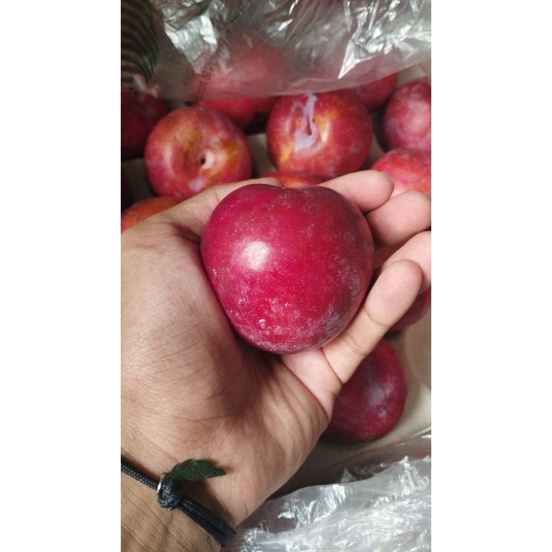 

BUAH PLUM RED RUBY STAR | BUAH PLUM FRESH SPESIAL GIFT BOX -+5 KG
