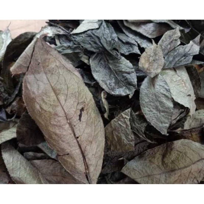 

Daun karas tulang kering organik alami natural-az