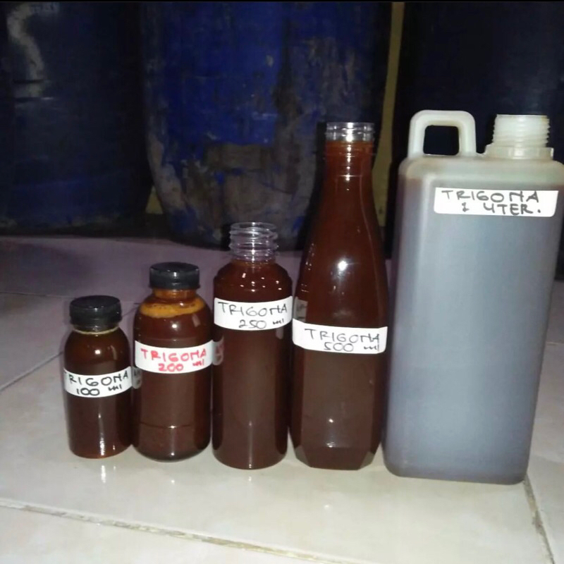 

Madu Klanceng Trigona asli 100%