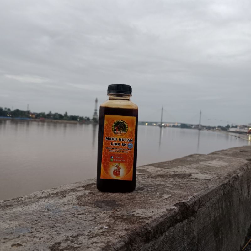 

madu hutan liar sialang
