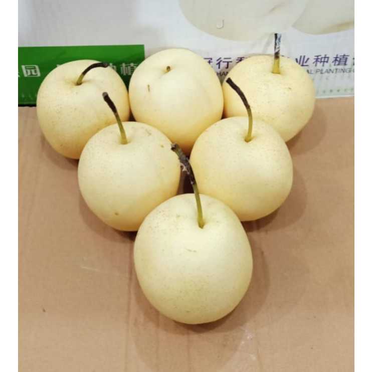 

Pear Centuri