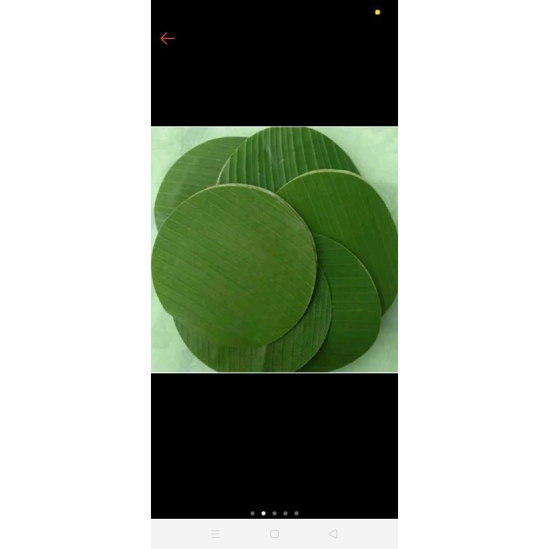 Daun pisang Bulat/100pcs