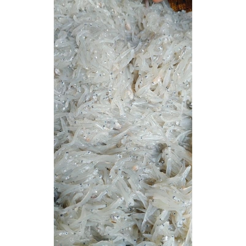 

TERI NASI BASAH - FROZEN 250gr