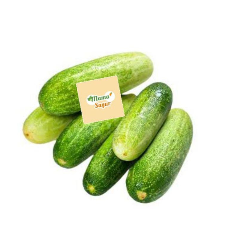 

Timun