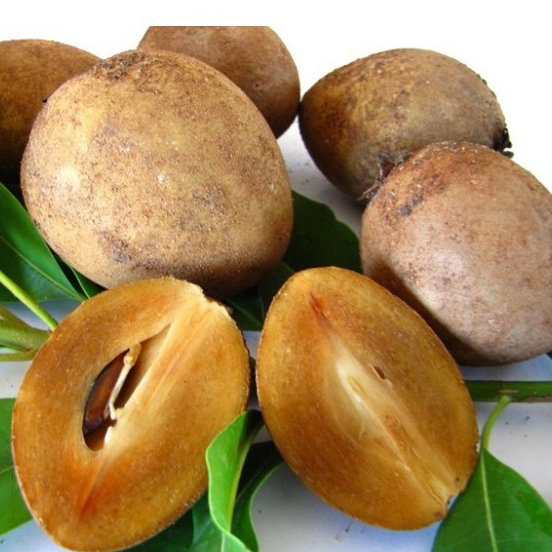 

sawo simadu mengkal tua manis 1kg