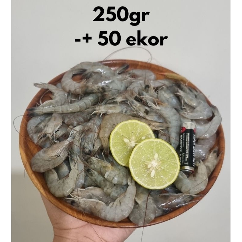 Udang Vaname Segar size 50