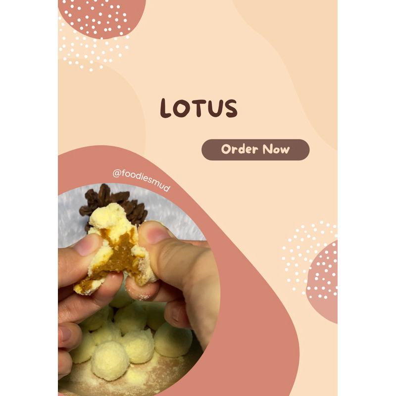 

LOTUS | BOLA SUSU | BOLA SUSU DANCOW | BOLA SUSU TANPA TERIGU