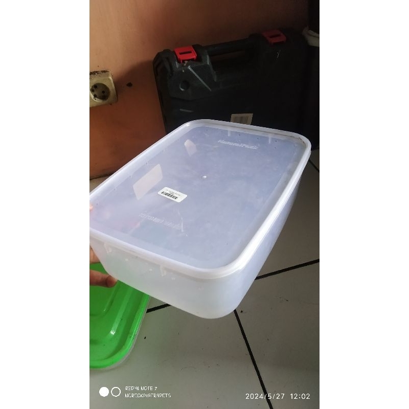 box reptil cocok untuk gecko ular salva sudah ada lubangnya