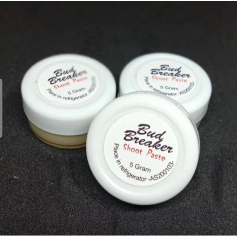 bud breaker penumbuh tunas anggrek 5 gram