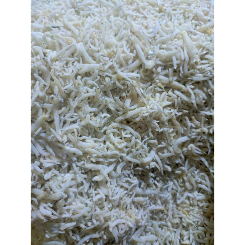 

asin teri medan 100gram