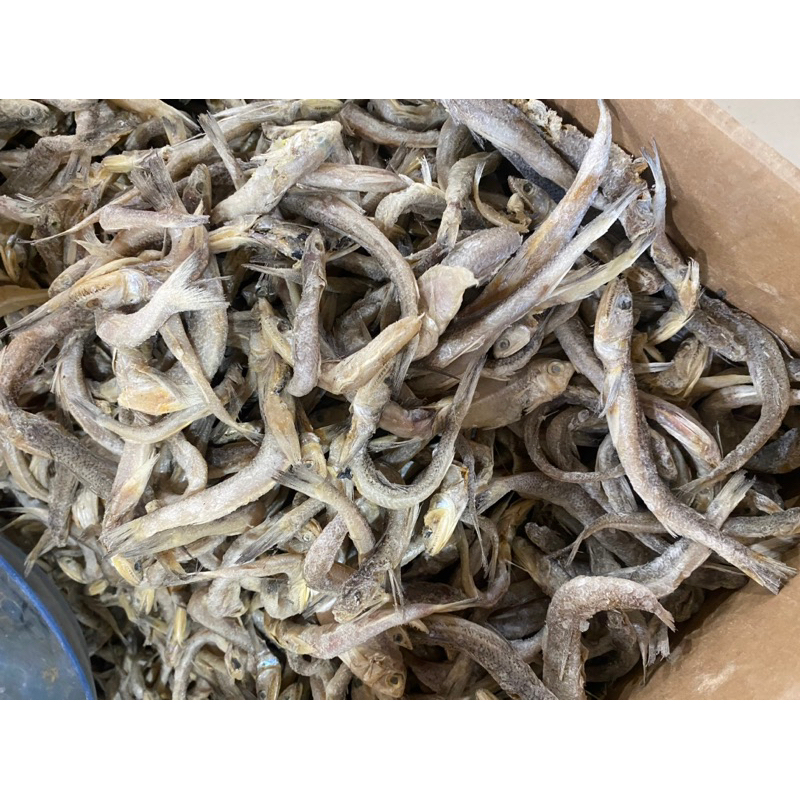 

Ikan Asin Kacangan 250gram/500gram/1kilogram harga terjangkau, kwalitas terbaik, mudah untuk pengolahan, dan daging sangat