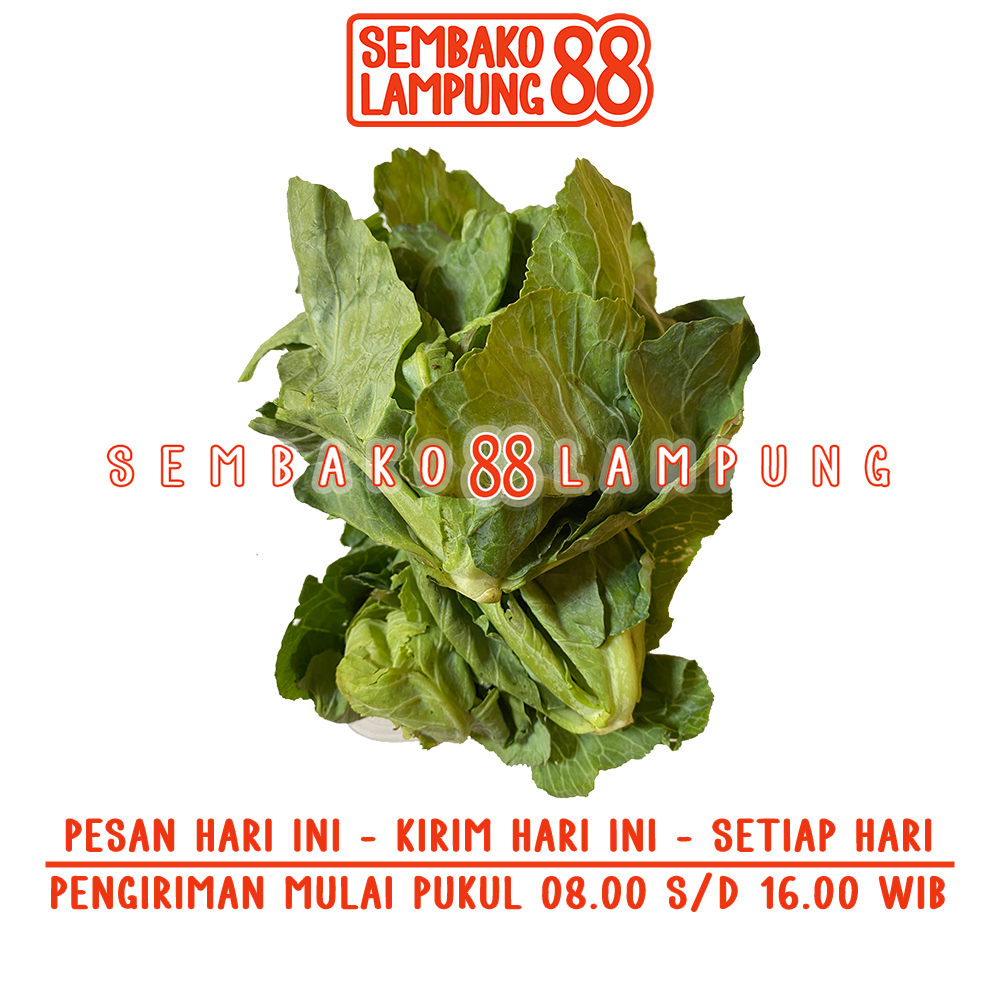

Ceciwis / Tunas Kol 250 Gr | Sembako Lampung 88