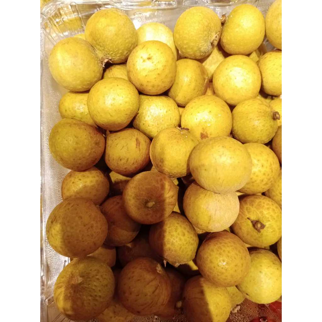 

Lengkeng Bangkok Thailand | Kelengkeng | Longan