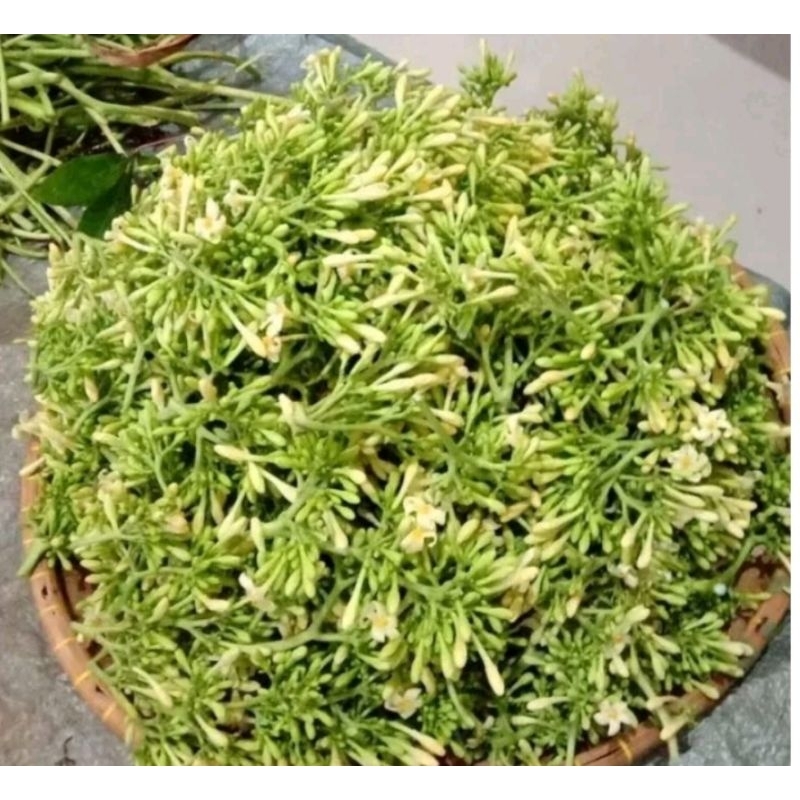 

bunga pepaya jantan fresh paket hemat (100) GRAM