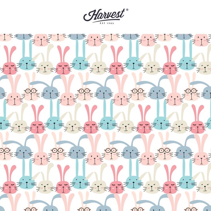 

PESTA DISKON Kertas Kado Baby New Born Harvest Baby Land Bunnies