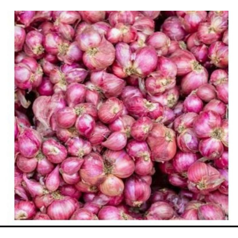 

bawang merah lokal besar super kering 1 kg