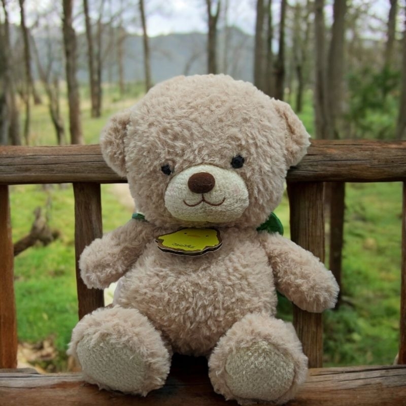 wish wing bear by Aurora world korea