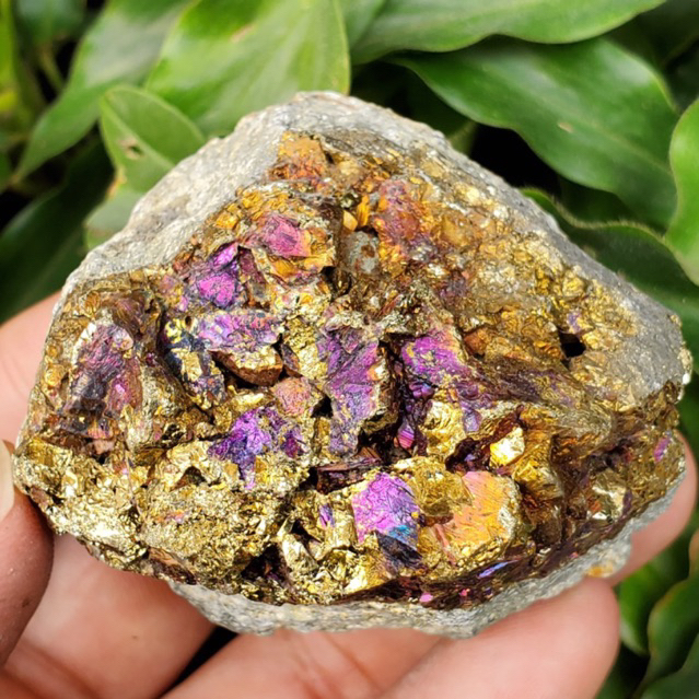 NATURAL CHALCOPYRITE  PEACOCK - BONGKAHAN PYRITE - Stone healing