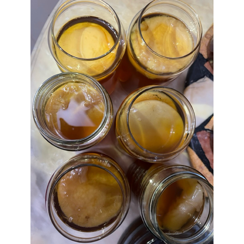 

Scoby Kombucha Premium + Starter Kuat 100 ML