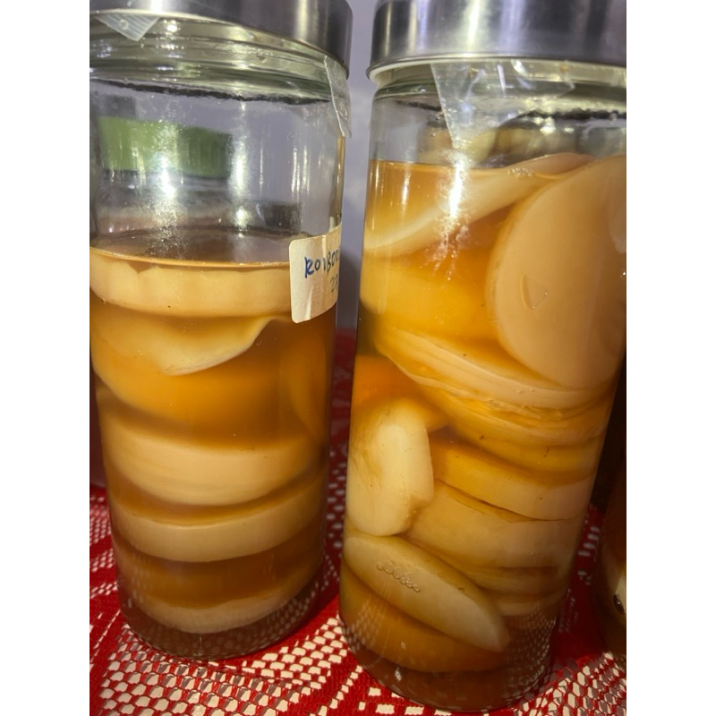 

Scoby Kombucha Premium + Starter Kuat 100 ML