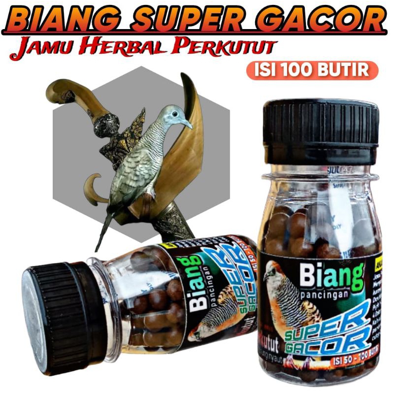 JAMU PERKUTUT BIANG SUPER GACOR ISI 100 BUTIR warisan leluhur mojopahit raja gacor manggung bocor nu