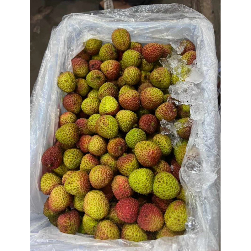 

LECI MADU IMPORT | FRESH | SEGER