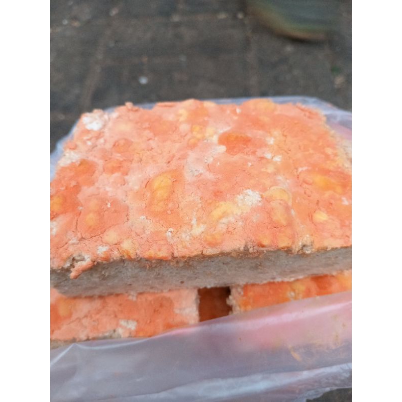 

oncomtempe